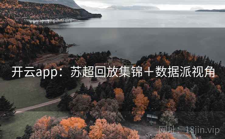 开云app:苏超回放集锦+数据派视角